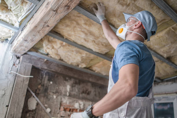Best DIY Insulation Kits and Guidance in Westchester, IL